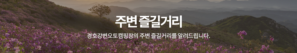 상단이미지